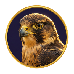 Halcón